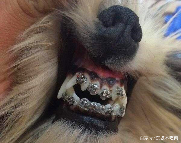 市检察院党组成员、政治部主任邓雪刚一行到市第二看守所进行专题调研|AG亚娱集团官方(图2) AG亚娱集团官方