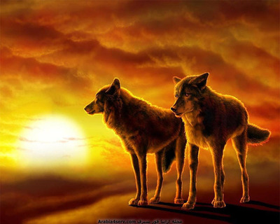 ag亚娱官网_树立法治治理常态化思维_时事政治_中公教育网