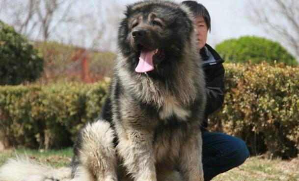 AG亚娱集团|
2020年琼海十大新闻等你来pick!(图6) AG亚娱集团官方