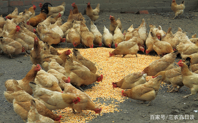 AG亚娱集团官方