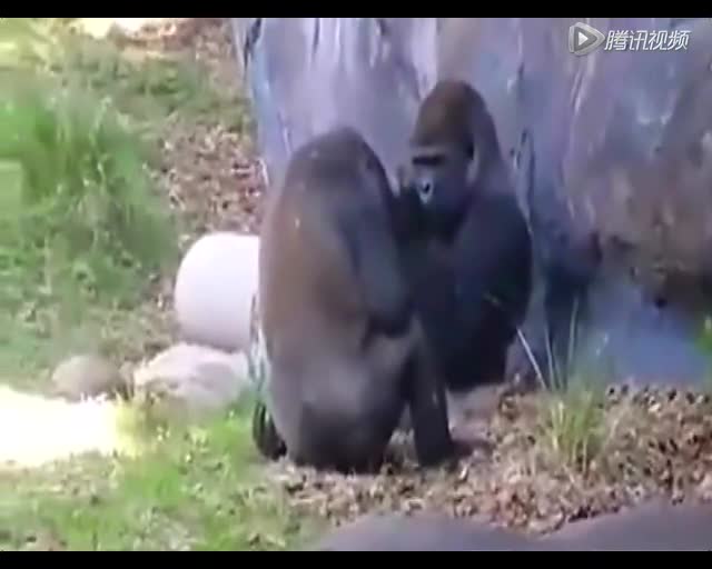 【ag亚娱官网】AI互动、人工智能、数字文物……科技+艺术惊艳十足，中国（青岛）艺博会开幕