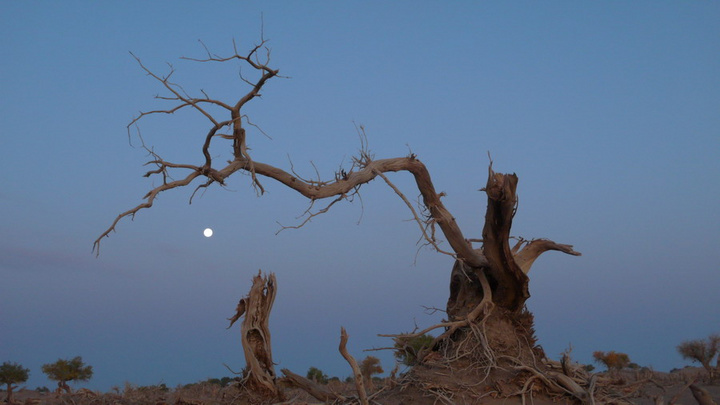 AG亚娱集团-
天长冶山:增强宣传报道培训 提升宣传业务素质(图3) AG亚娱集团官方