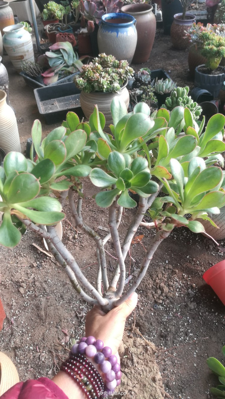 干部当涵养水的品性_时事政治_中公教育网-AG亚娱集团(图4) AG亚娱集团官方