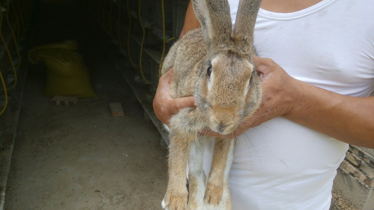 AG亚娱集团官方|让政治工作成为贯穿队伍管理的“生命线”