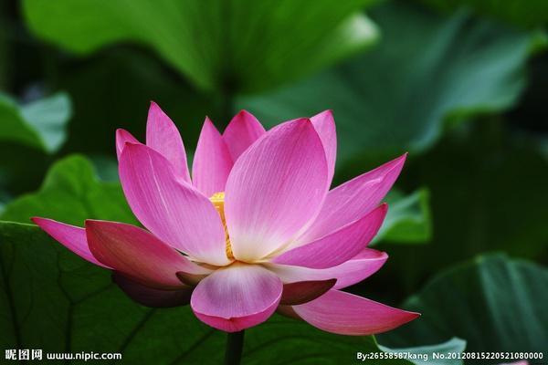 AG亚娱集团：“清流节目”翻红的背后是综艺节目生态持续向好