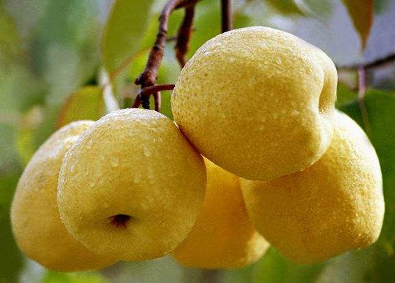 2021年，媒体和受众的8大变化_AG亚娱集团