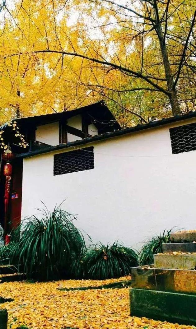 应急管理部调度湖南省湘潭市湘潭县重大交通事故‘AG亚娱集团’(图2) AG亚娱集团