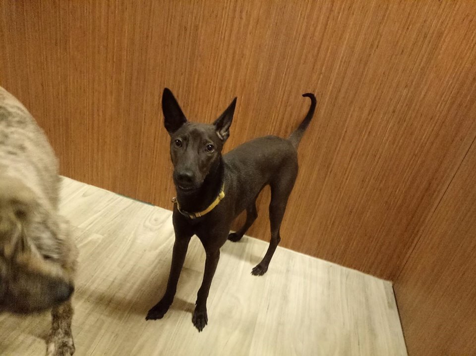 AG亚娱集团_
文明城区建设 渝中消防在行动(图5) ag亚娱官网