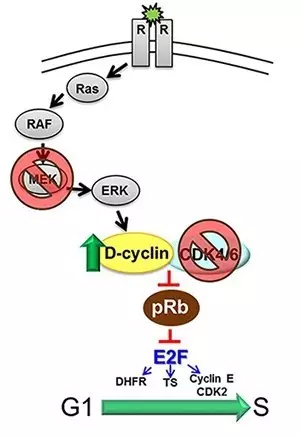 AG亚娱集团_
文明城区建设 渝中消防在行动(图3) ag亚娱官网