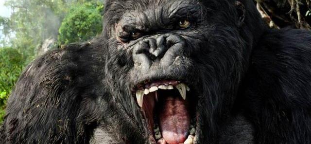 “人民满意”应是公务员的价值标杆_时事政治_中公教育网‘AG亚娱集团’(图4) AG亚娱集团官方