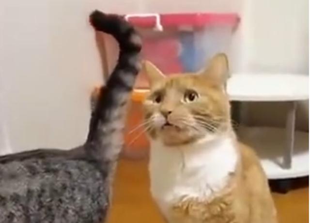 如何让全程记录成为城管改善形象契机?_时事政治_中公教育网‘AG亚娱集团官方’