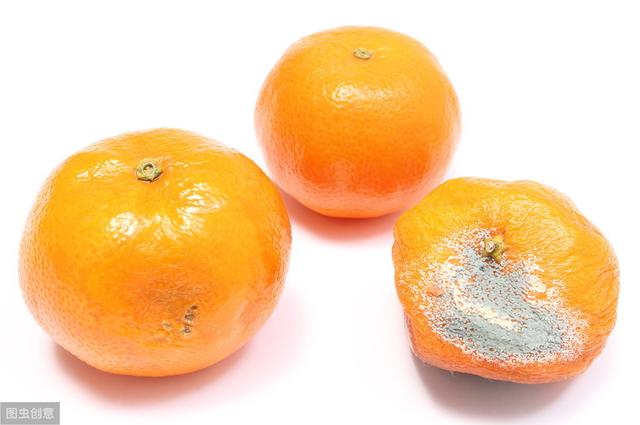 AG亚娱集团官方-Skout发布全球交友应用升级版