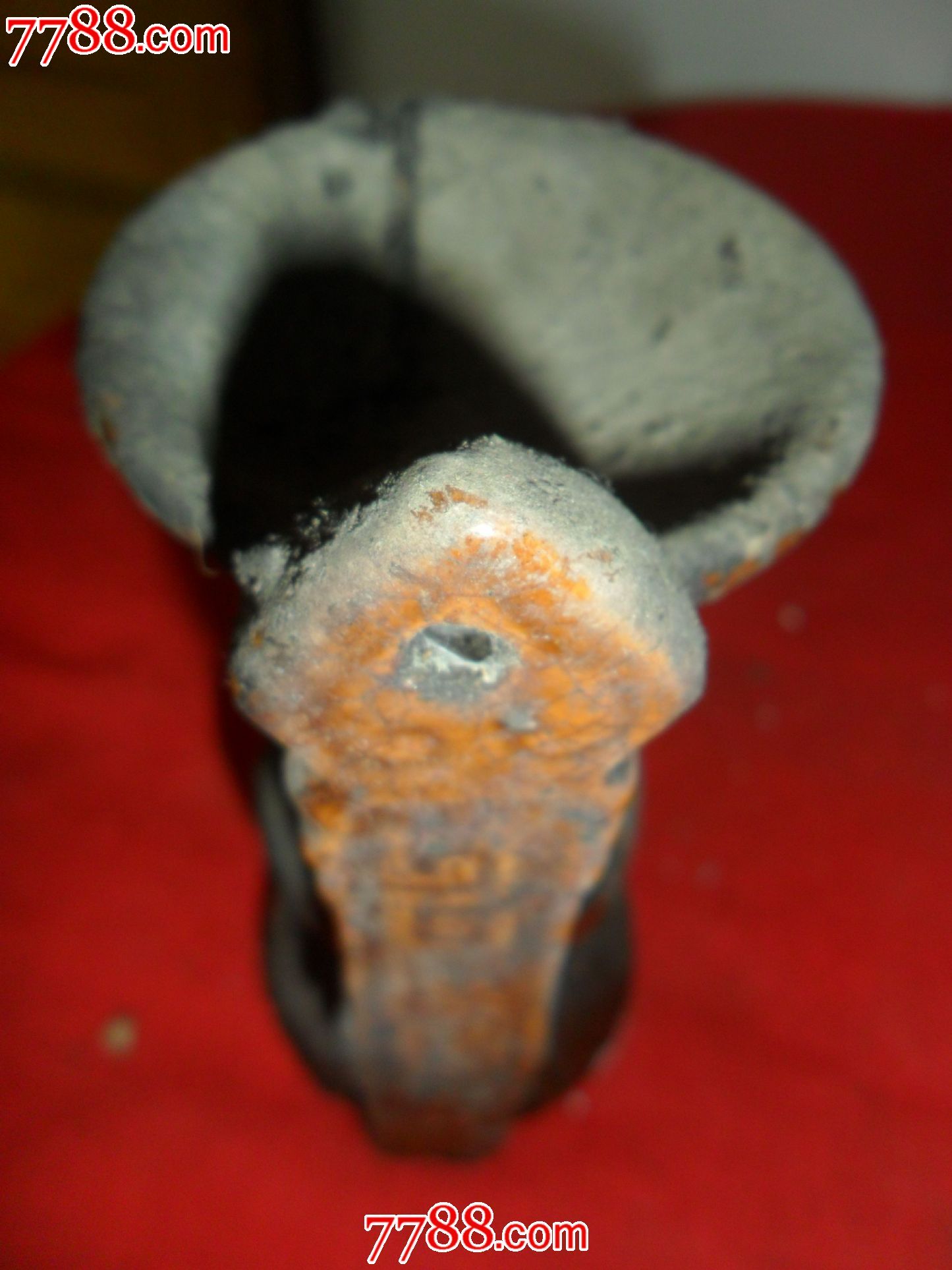 ag亚娱官网|金象助梦 明星助力“我的青春梦”(图1) AG亚娱集团官方