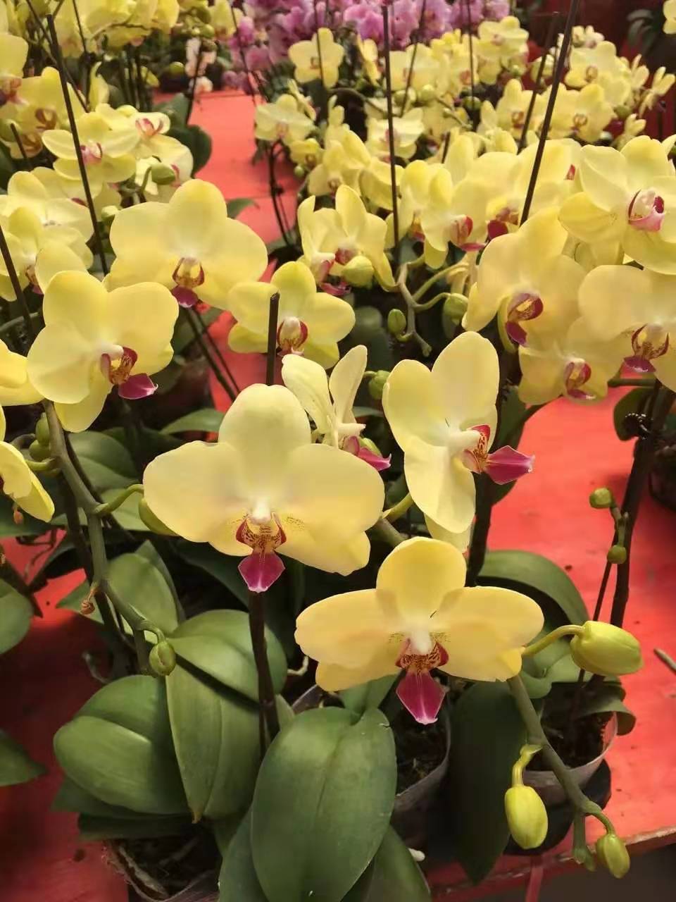 AG亚娱集团官方