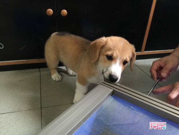 ‘AG亚娱集团官方’
马克思主义的鲜明特性