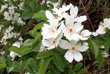 清大学习吧在线学习模式突破传统教育藩篱_AG亚娱集团官方(图4) ag亚娱官网