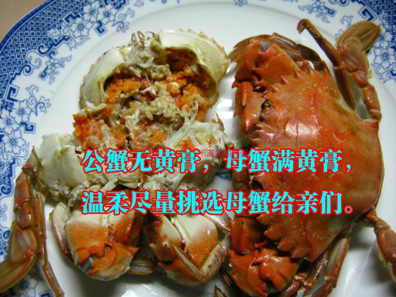 ag亚娱官网_悉尼街头为何有一棵烧焦的圣诞树?