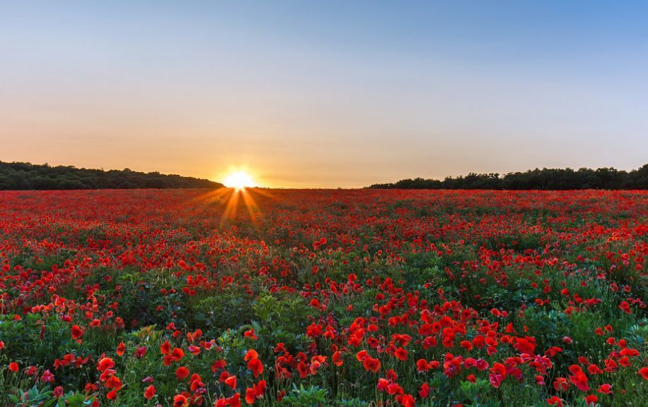 贵州盘州消防宣传走进幼儿园 萌娃齐上防火启蒙课|ag亚娱官网(图2) AG亚娱集团