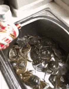 搞笑GIF:你们喜欢这个小姐姐蜘蛛侠吗?最近其他平台都很火 -AG亚娱集团(图4)
搞笑GIF:你们喜欢这个小姐姐蜘蛛侠吗?最近其他平台都很火 -AG亚娱集团(图4)