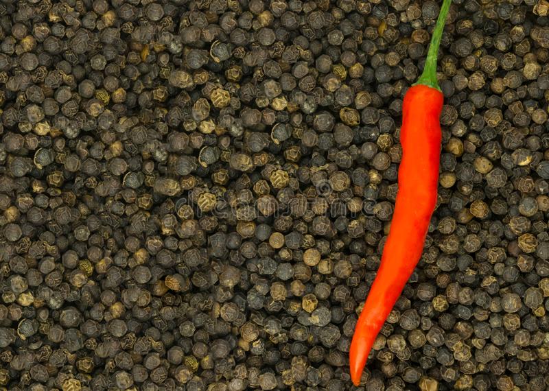 重新定义海淘新生态——折疯了海淘“ag亚娱官网”(图1) AG亚娱集团官方