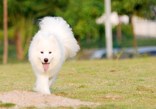 AG亚娱集团官方-多益网络学长学姐走进华工，发力寻找“益见领袖”