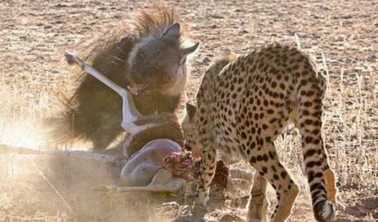 AG亚娱集团官方