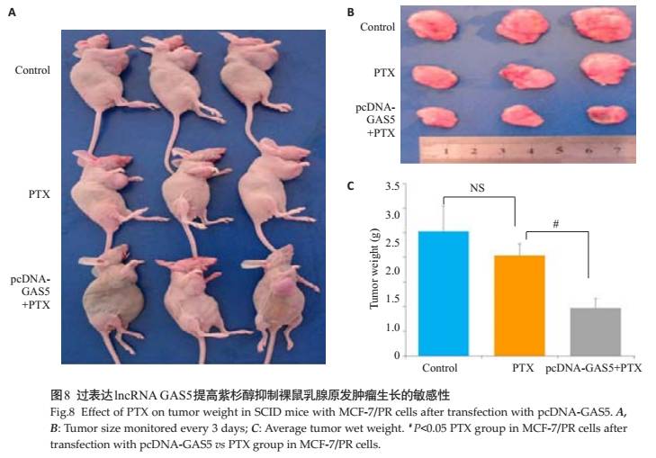 AG亚娱集团官方