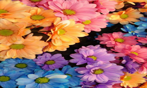 AG亚娱集团：正阳县：真阳街道党员干部扛起政治责任在疫情防控一线践行初心使命