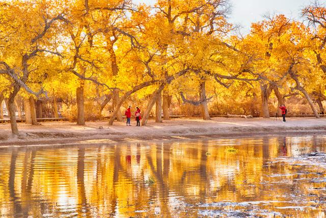 AG亚娱集团官方
