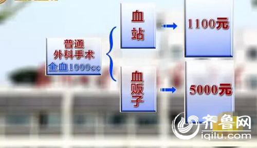 Americas Petrogas完成对其在阿根廷的非常规页岩油气资源量的独立评估_AG亚娱集团(图1) ag亚娱官网