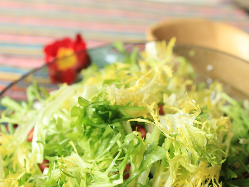 AG亚娱集团官方