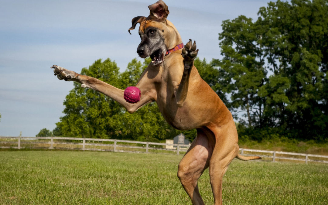 AG亚娱集团官方