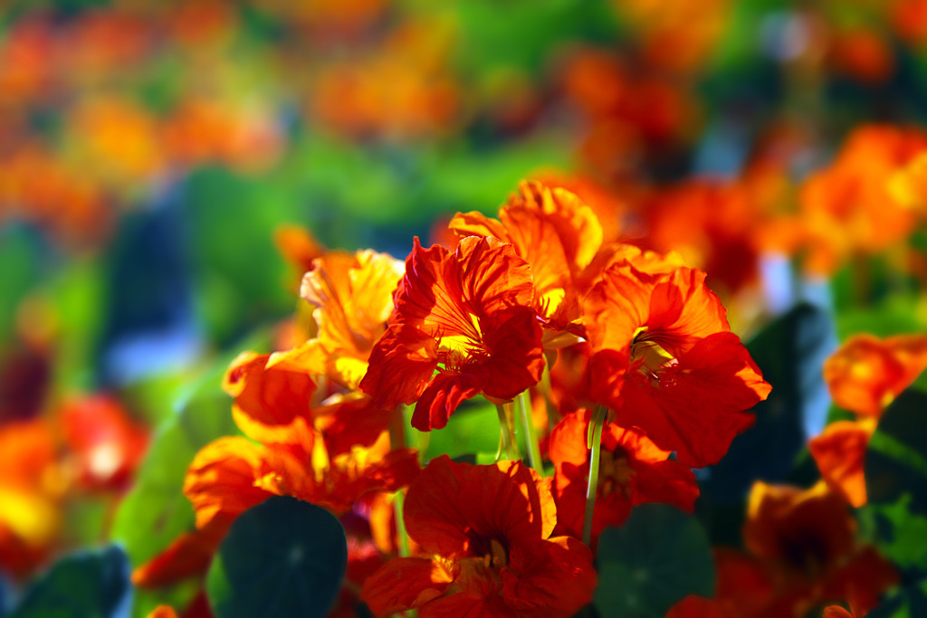 ag亚娱官网:这届金球奖有点儿标新立异(图3) AG亚娱集团