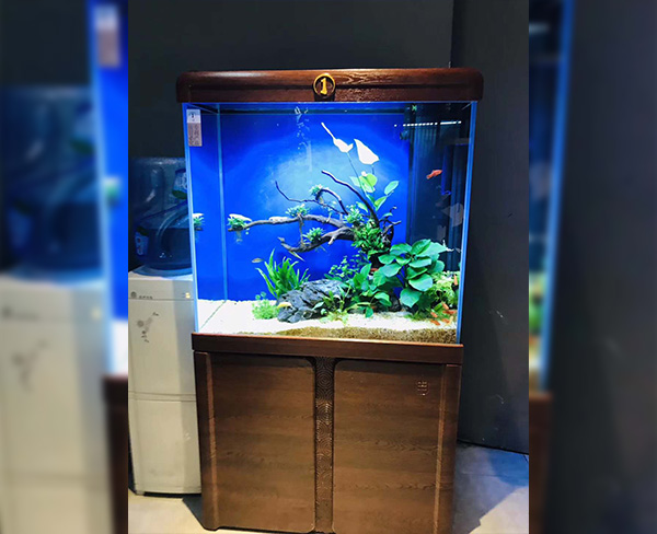 G20杭州峰会的三大意义_时事政治_中公教育网‘AG亚娱集团’(图2) ag亚娱官网