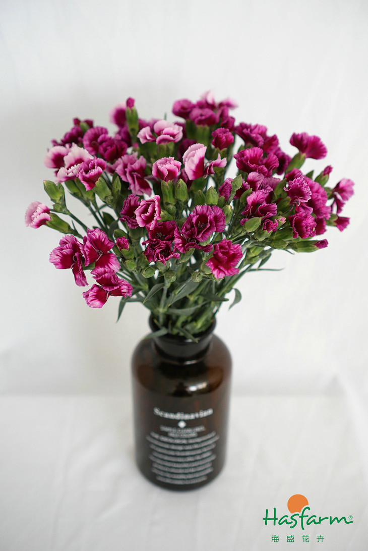 AG亚娱集团官方-北京发布45项地方标准 涉及安全生产等级评定技术规范