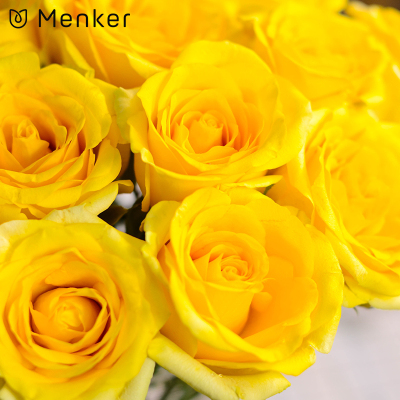 ‘AG亚娱集团官方’阳光少年2015“欢动五洲、点亮梦想”新春盛典成功录制(图1) AG亚娱集团