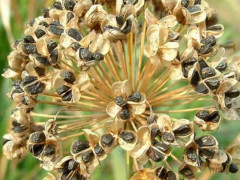 AG亚娱集团官方