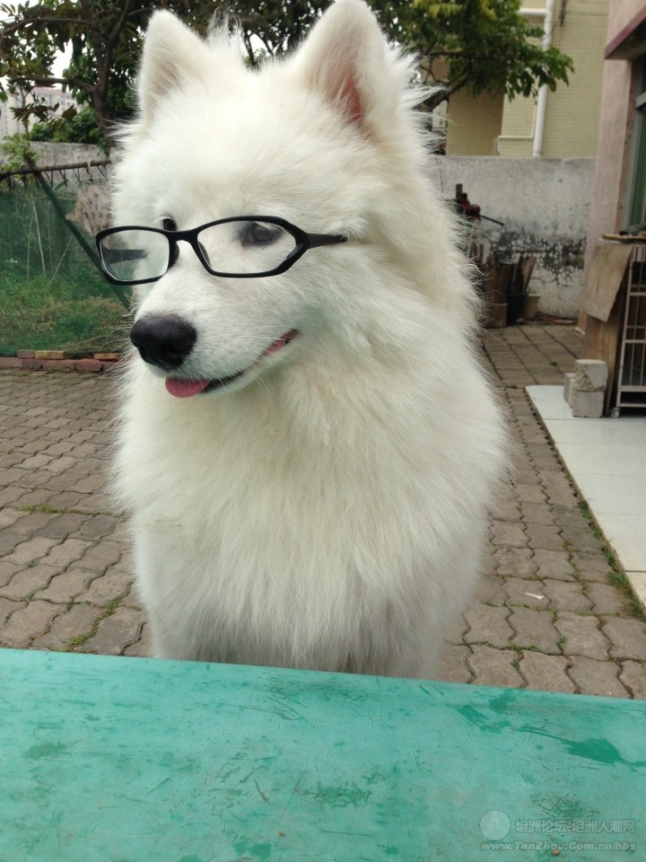 AG亚娱集团官方