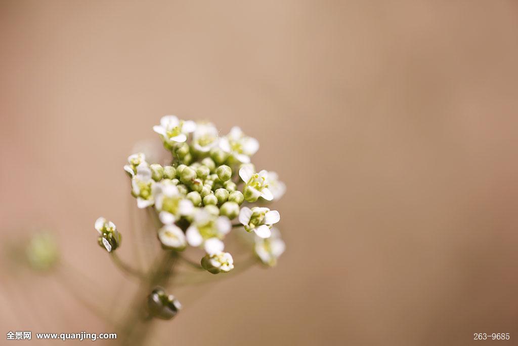 FINCAD亚太有限公司在北京金融街开设办事处‘AG亚娱集团’(图1) AG亚娱集团