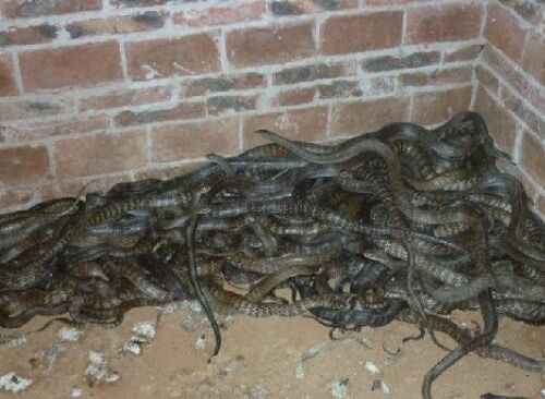 AG亚娱集团官方